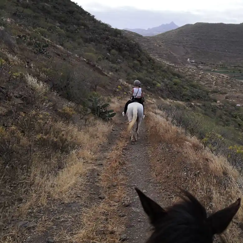 1 / 31: Ausreiten auf Teneriffa in Spanien