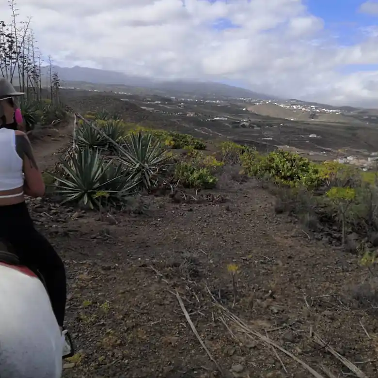 10 / 31: Ausreiten auf Teneriffa in Spanien