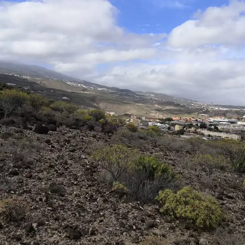 13 / 31: Ausreiten auf Teneriffa in Spanien