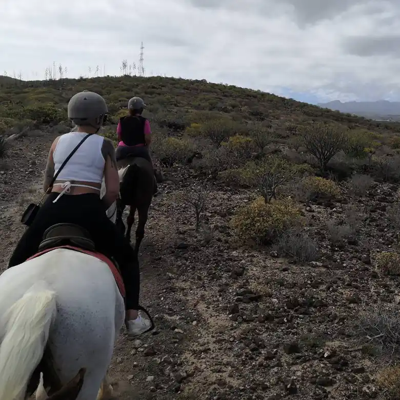 14 / 31: Ausreiten auf Teneriffa in Spanien