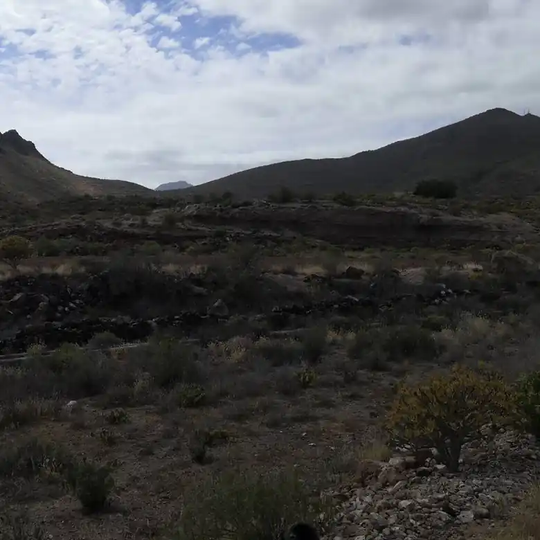15 / 31: Ausreiten auf Teneriffa in Spanien