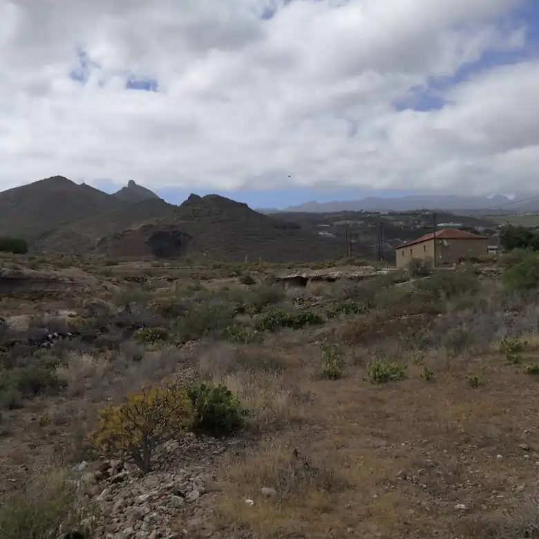 16 / 31: Ausreiten auf Teneriffa in Spanien