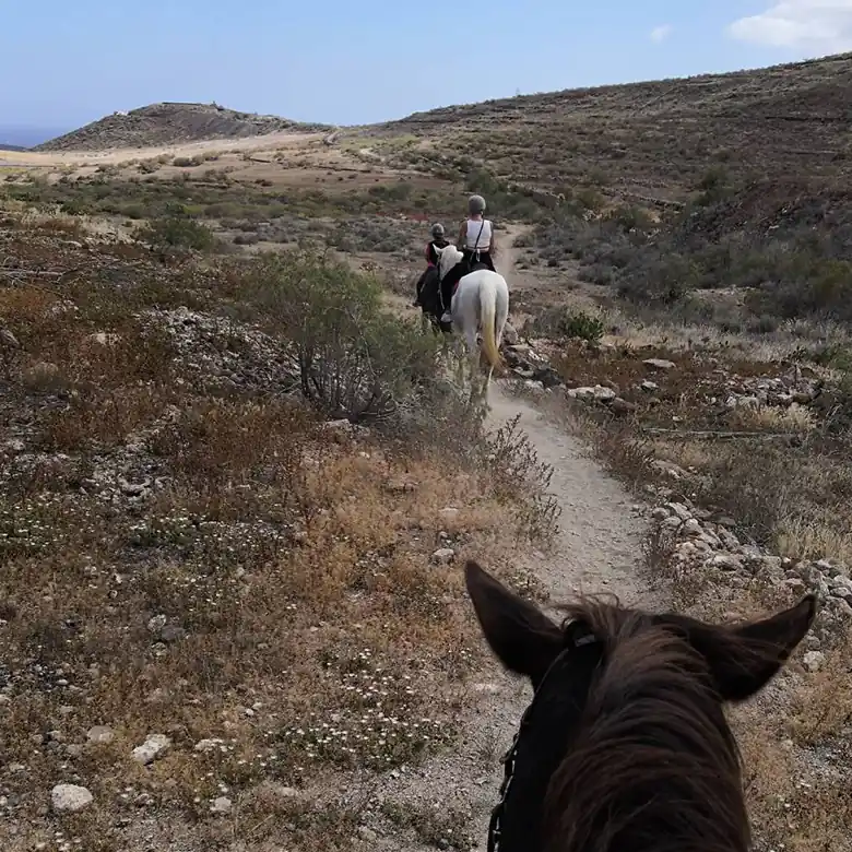 17 / 31: Ausreiten auf Teneriffa in Spanien