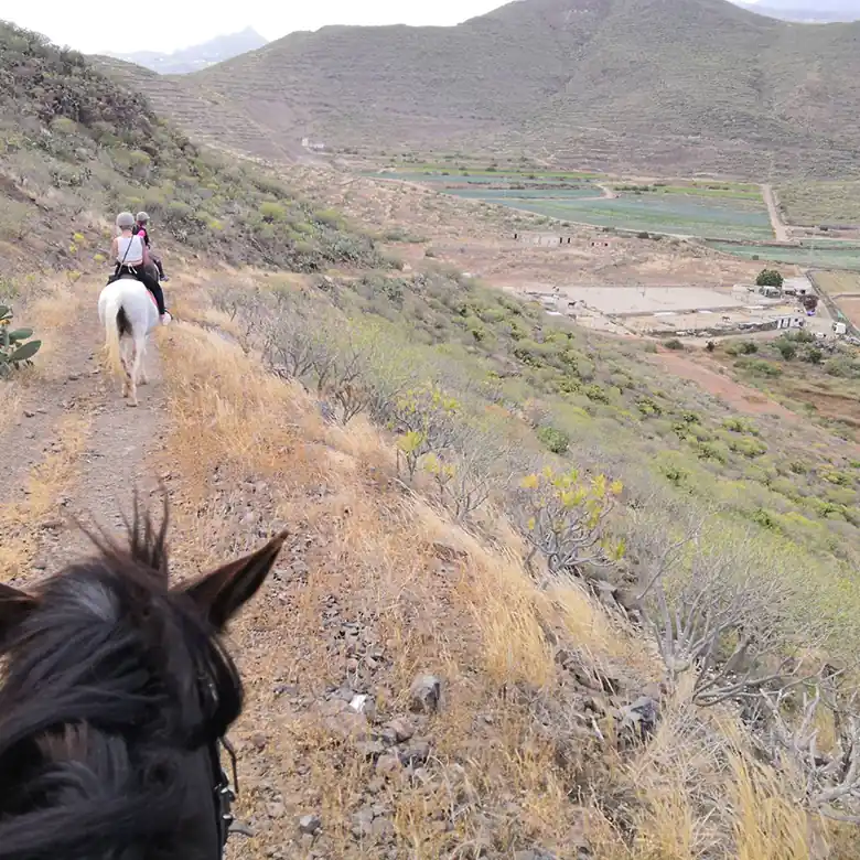 18 / 31: Ausreiten auf Teneriffa in Spanien