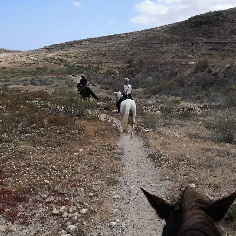 19 / 31: Ausreiten auf Teneriffa in Spanien