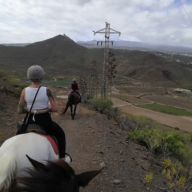 2 / 31: Ausreiten auf Teneriffa in Spanien