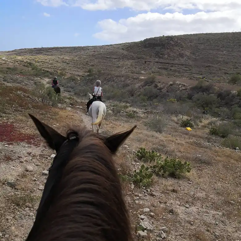 20 / 31: Ausreiten auf Teneriffa in Spanien