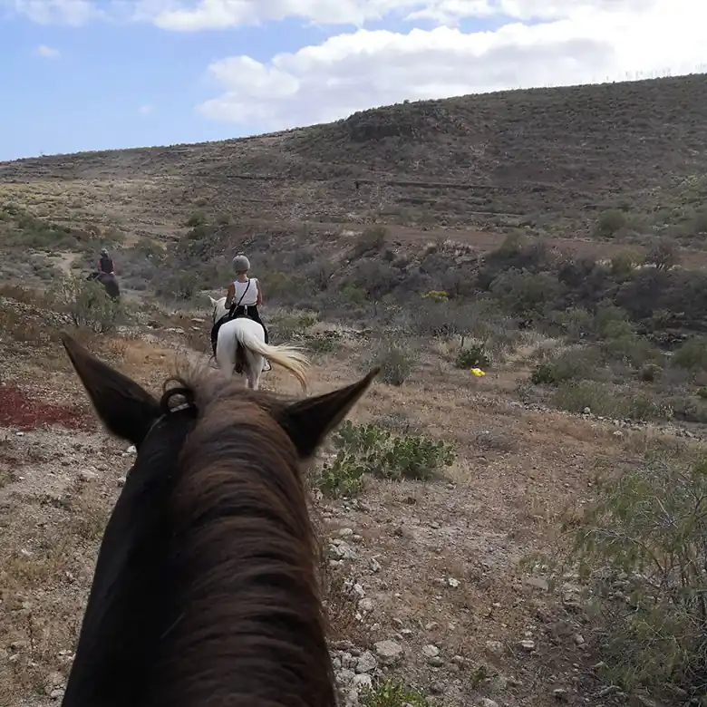 21 / 31: Ausreiten auf Teneriffa in Spanien