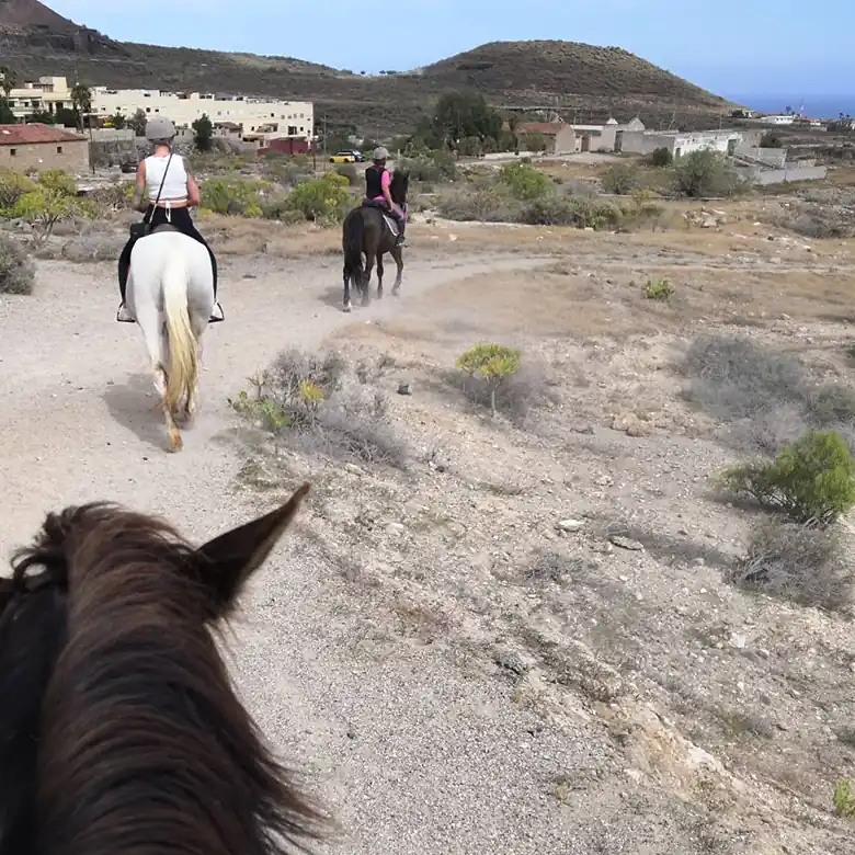 22 / 31: Ausreiten auf Teneriffa in Spanien