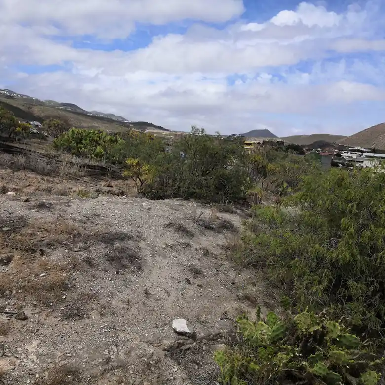23 / 31: Ausreiten auf Teneriffa in Spanien