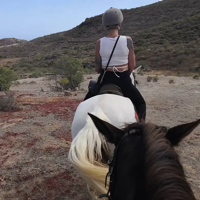 24 / 31: Ausreiten auf Teneriffa in Spanien