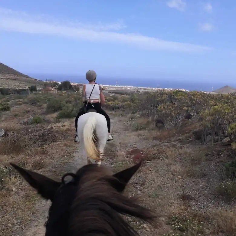 25 / 31: Ausreiten auf Teneriffa in Spanien