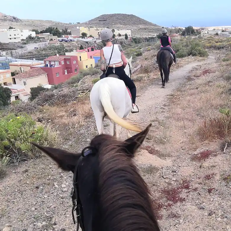26 / 31: Ausreiten auf Teneriffa in Spanien