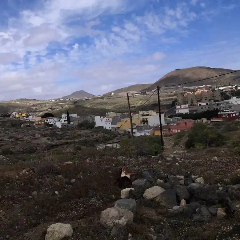 28 / 31: Ausreiten auf Teneriffa in Spanien