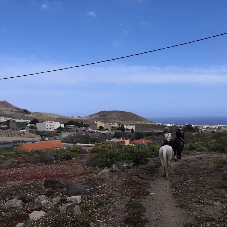 29 / 31: Ausreiten auf Teneriffa in Spanien