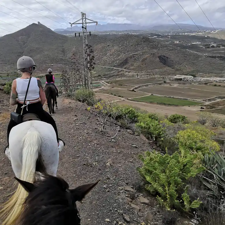 3 / 31: Ausreiten auf Teneriffa in Spanien