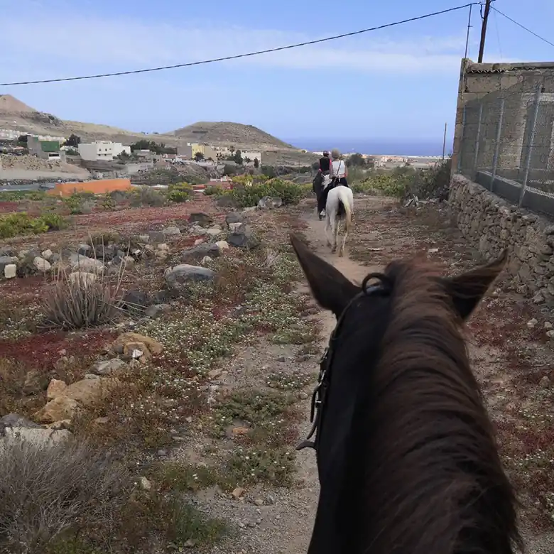 30 / 31: Ausreiten auf Teneriffa in Spanien