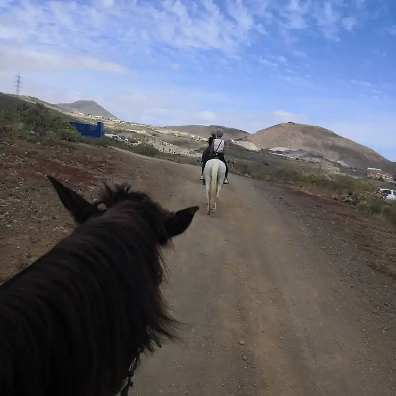 31 / 31: Ausreiten auf Teneriffa in Spanien
