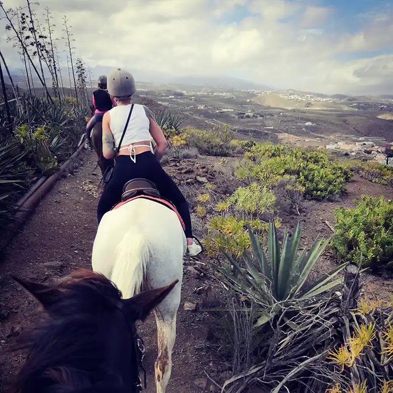 4 / 31: Ausreiten auf Teneriffa in Spanien