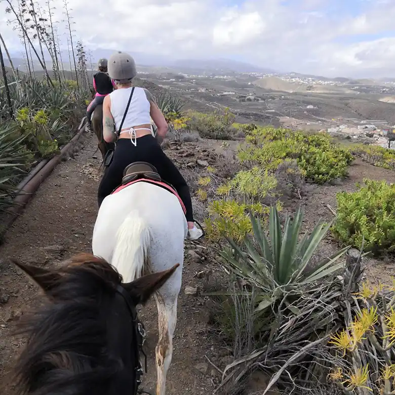 5 / 31: Ausreiten auf Teneriffa in Spanien