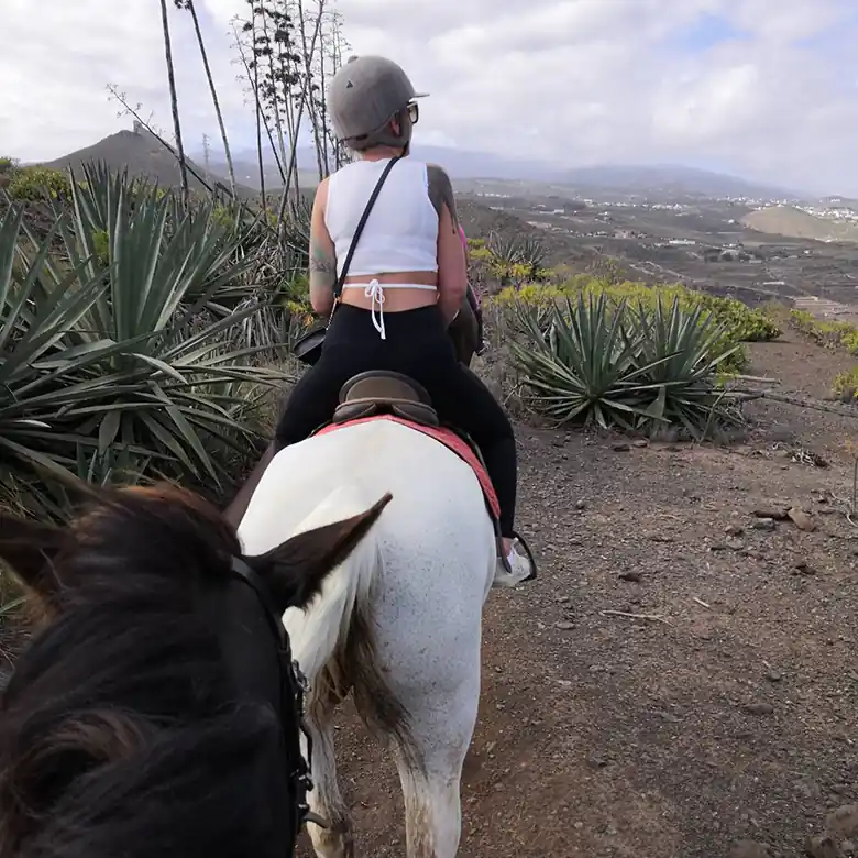 6 / 31: Ausreiten auf Teneriffa in Spanien