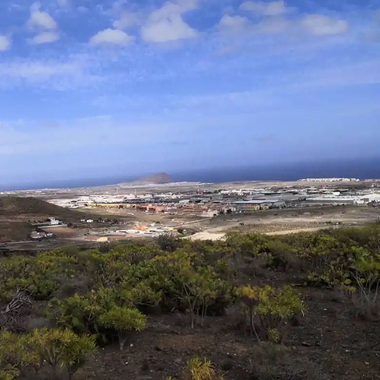 8 / 31: Ausreiten auf Teneriffa in Spanien